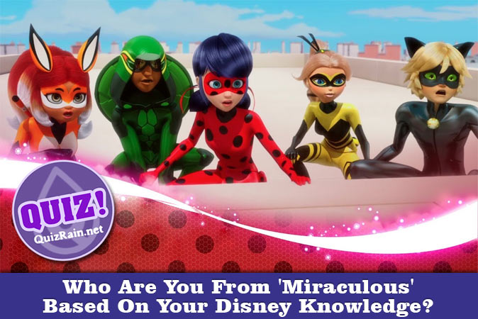 Miraculous Ladybug: Which Character Are You? - Animation - QuizRain