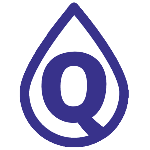QuizRain logo