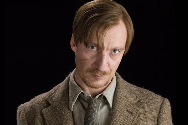 Remus Lupin in Harry Potter