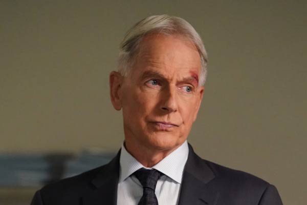 25% Leroy Jethro Gibbs in NCIS