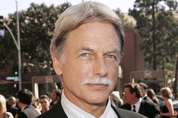 5% Leroy Jethro Gibbs in NCIS