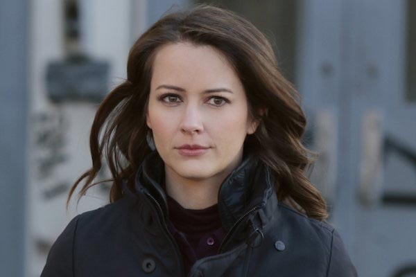 Root aus Person of Interest