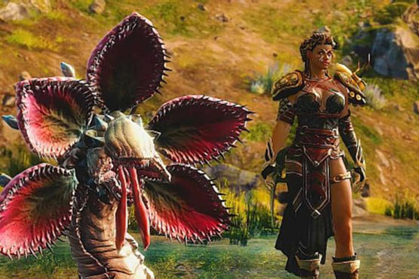The Ranger aus Guild Wars 2
