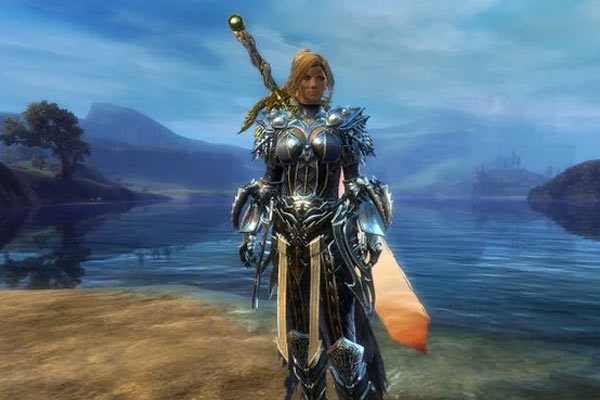 The Warrior aus Guild Wars 2