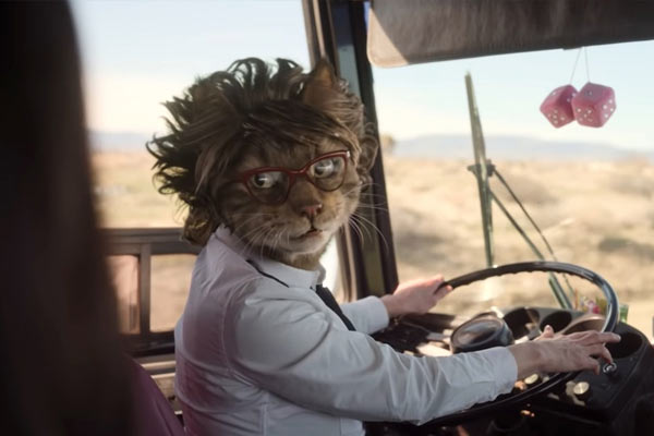 Cat Lady in Dollface