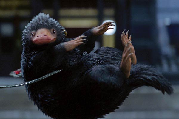 Niffler aus Fantastic Beasts