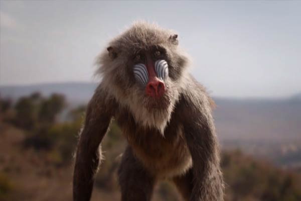 Rafiki em The Lion King