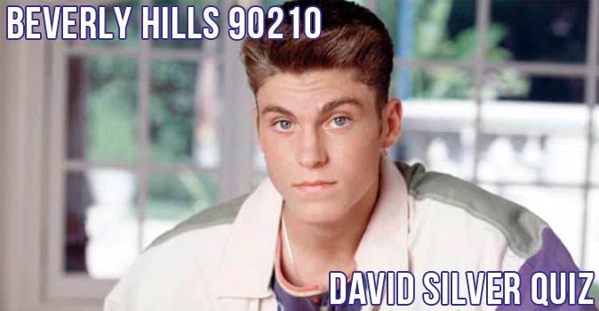 Welcome to Quiz: Beverly Hills 90210 David Silver Quiz