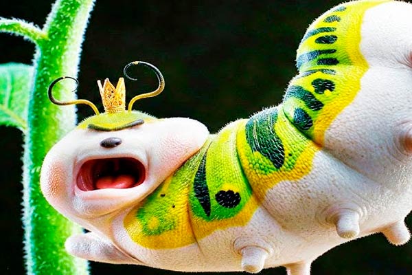 Insect King in Hoppers