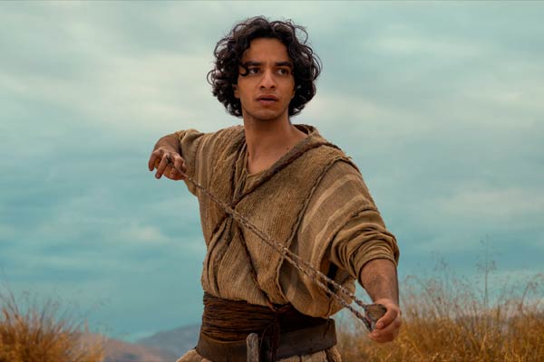 David in House of David