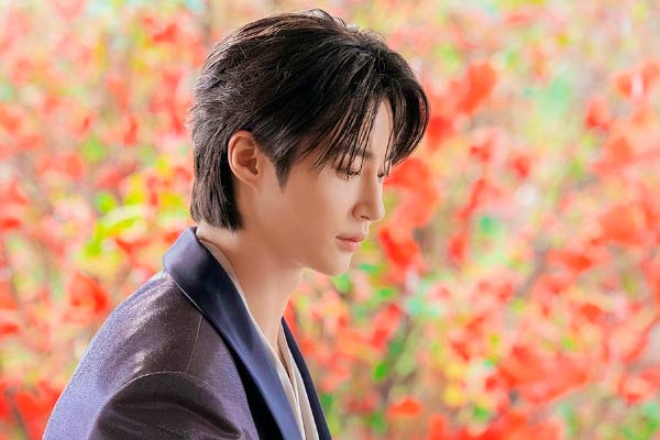 Grand Prince Lee Ahn aus Perfect Crown