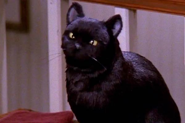 Salem Saberhagen in Sabrina the Teenage Witch