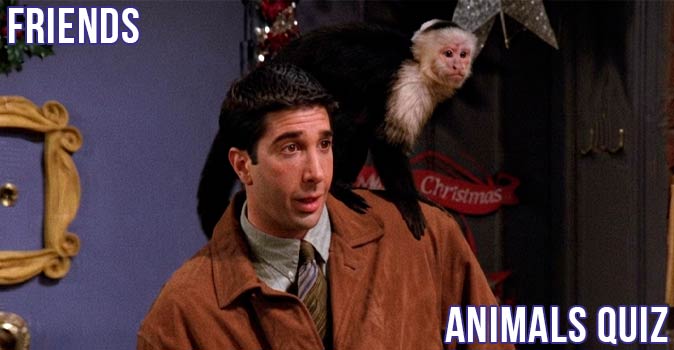 Welcome to Quiz: Friends Animals Quiz